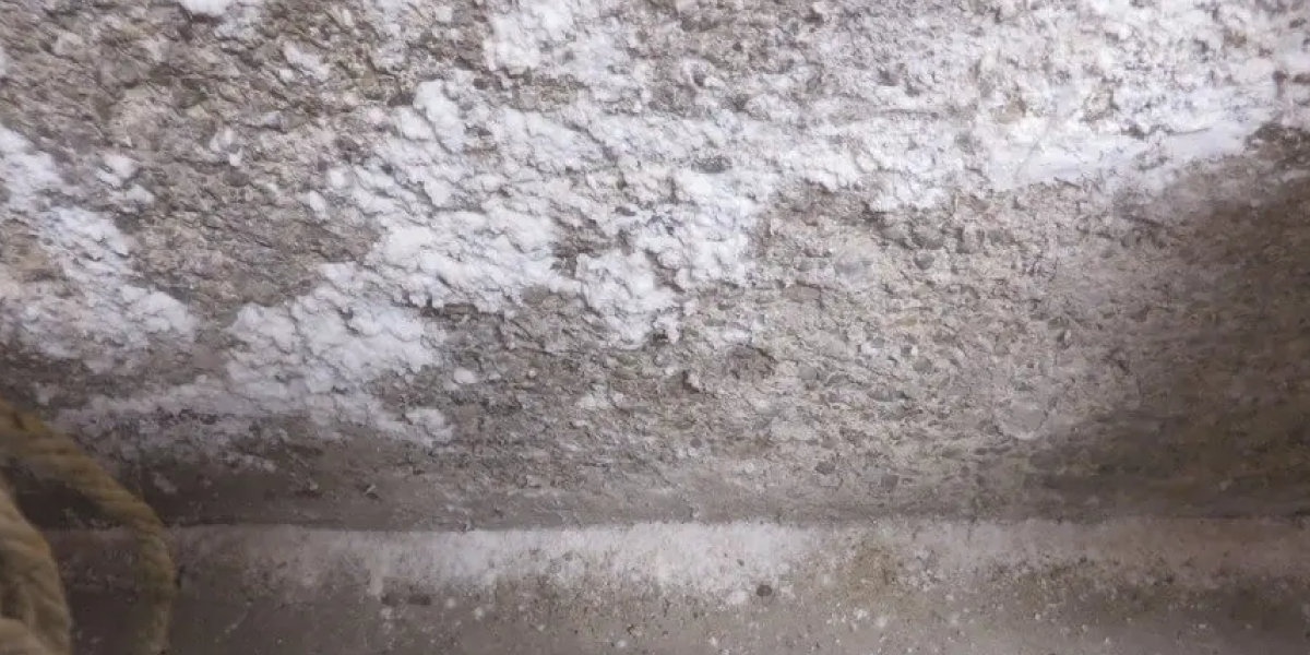 How Does White Mold Differ from Efflorescence 2 How Does White Mold Differ from Efflorescence